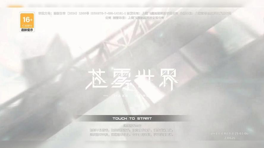 雾直装辅助器安装免广告游戏截图