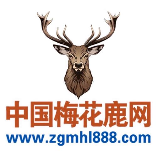 鹿网游戏截图