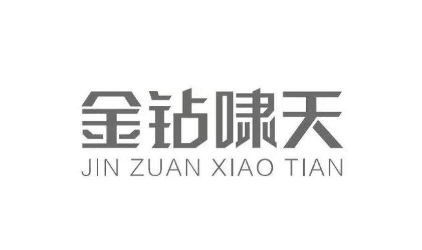 啸天框架2023缩略图