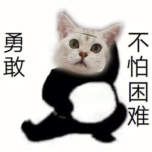 勇敢猫猫不怕困难红包版