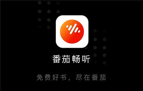 番茄畅听音乐版电视版黑色老版缩略图