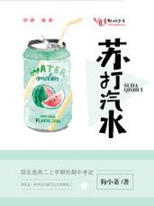 汽水小说免费版缩略图