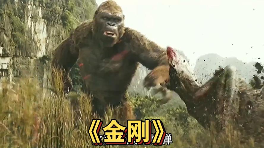 金刚头条
