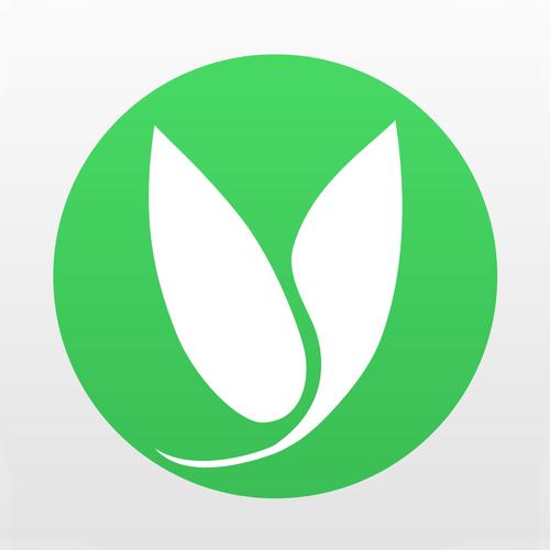 麦子微客游戏截图