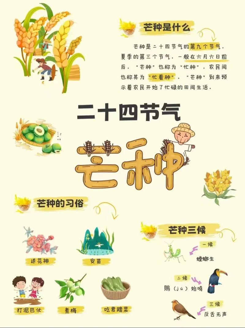 芒种阅读