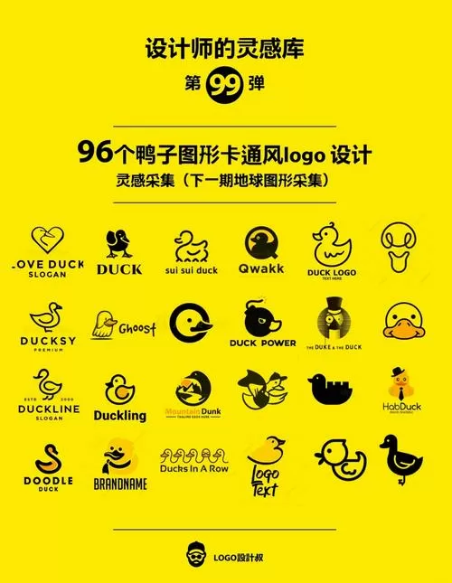 鸭子一天喂几次缩略图