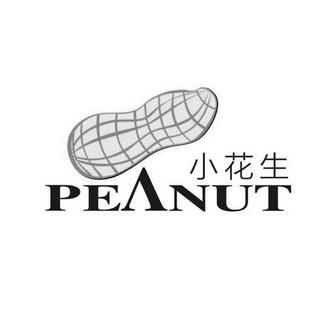 花生直装-v1.1游戏截图