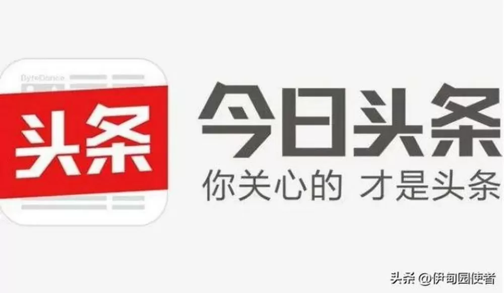 今日头条7.0.9最新版本更新内容缩略图