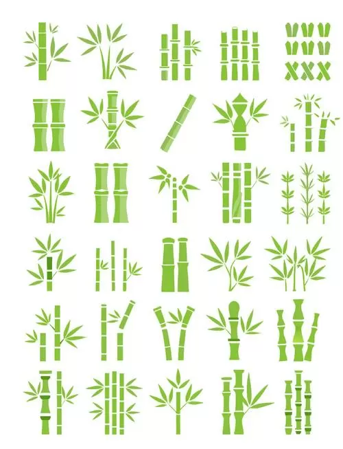 竹林鸟语花香的视频缩略图