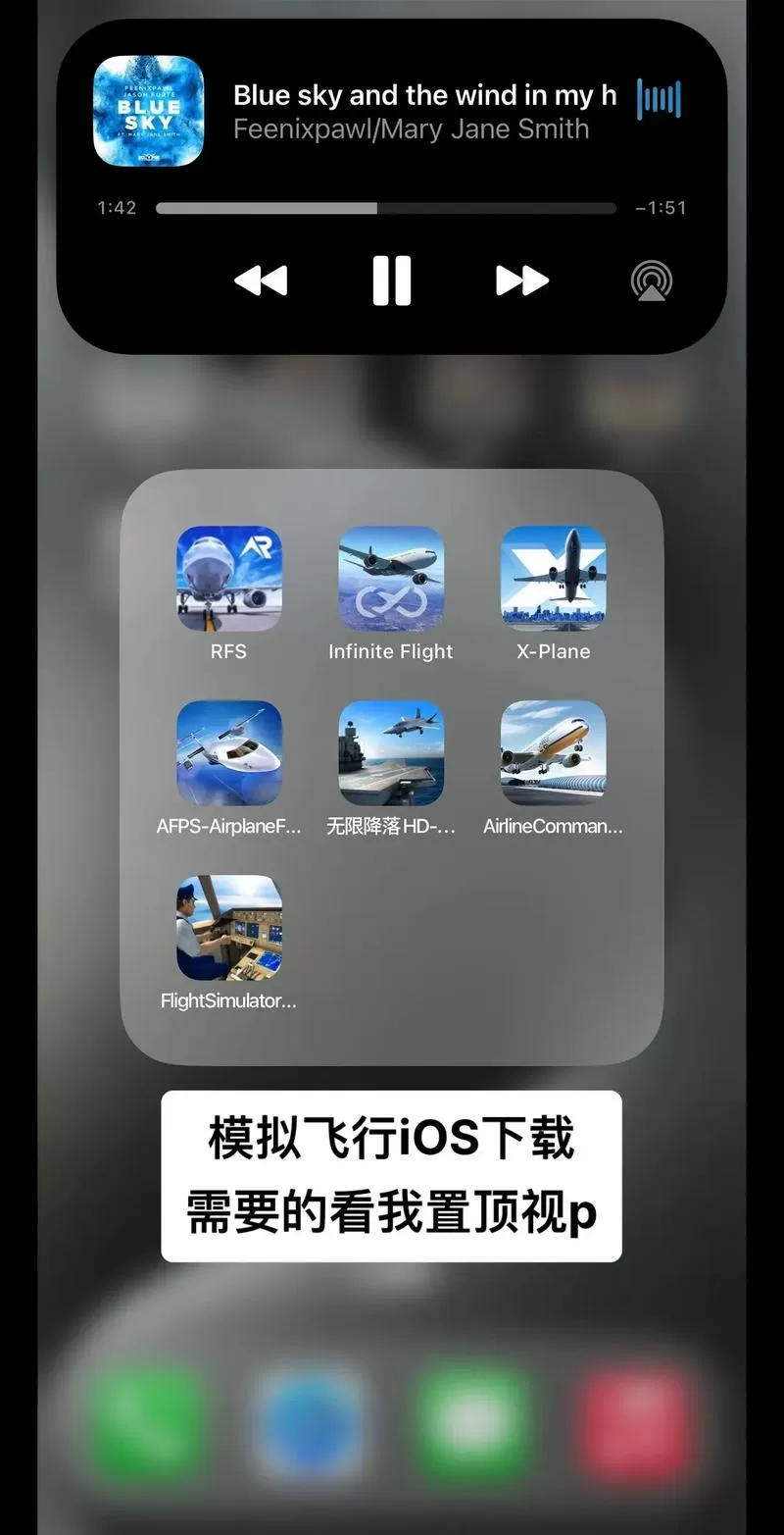模拟飞行10手机版中文破解版缩略图