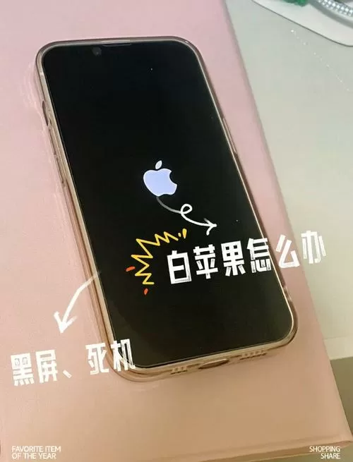 苹果开机只出现苹果标志,然后不动了