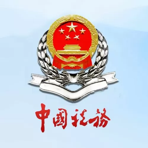 税务总局山东省电子税务局缩略图