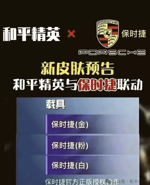 和平精英容器直装保时捷直装5.0游戏截图