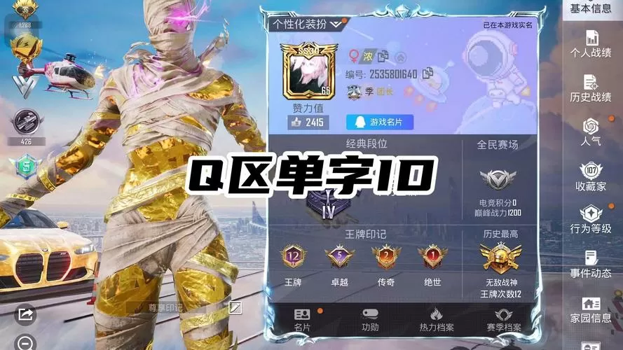 和平精英单字id生成器2023特征码游戏截图