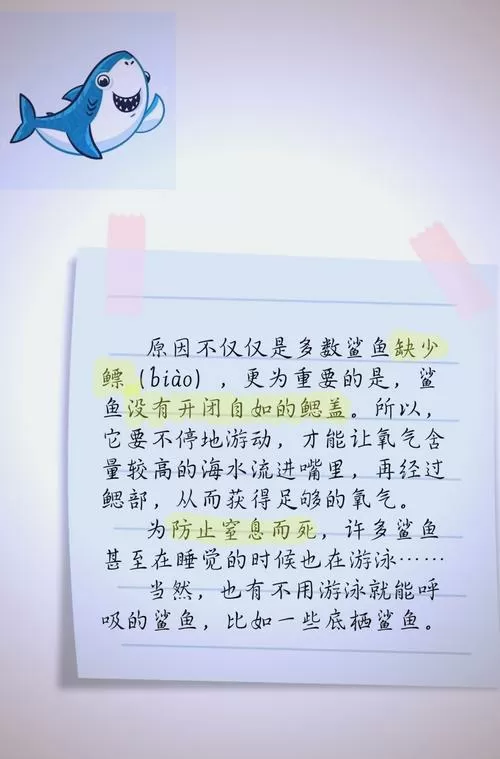 鲨鱼阅读短文及答案缩略图