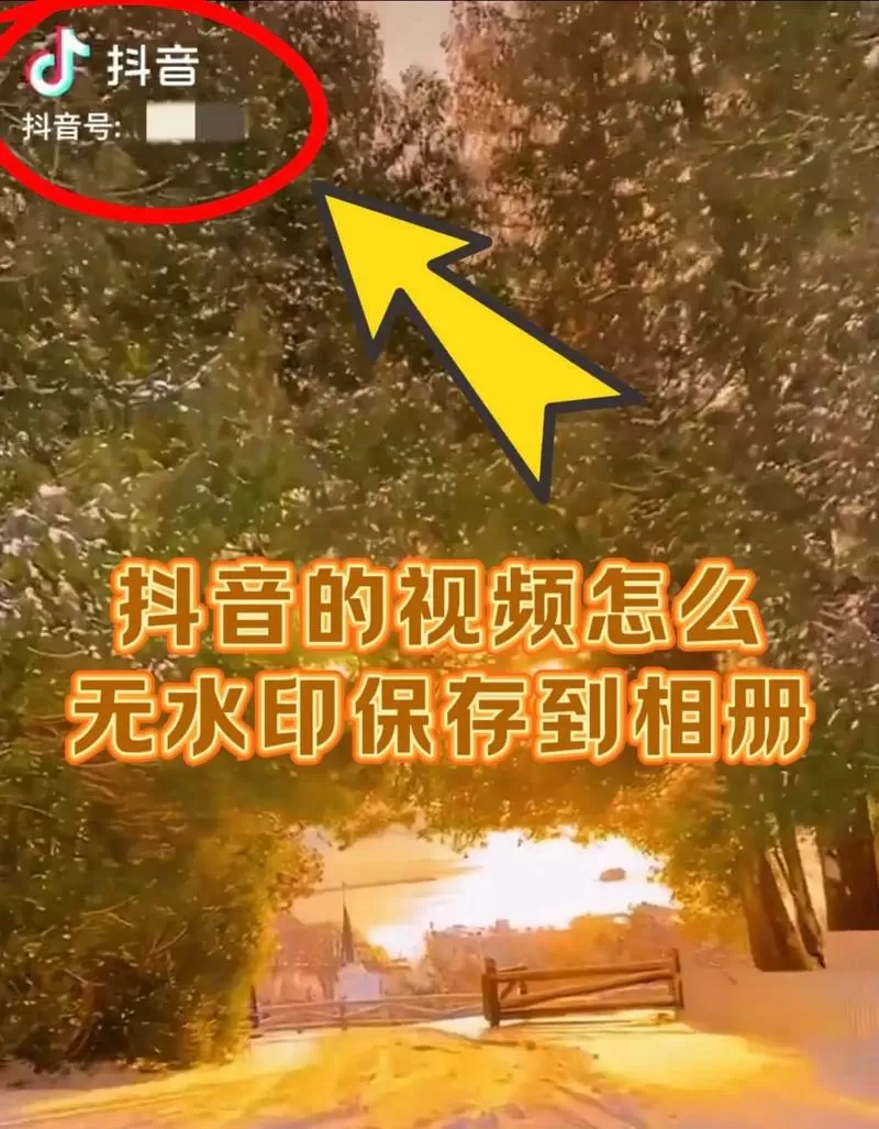 抖音缓存视频怎么保存到手机相册缩略图