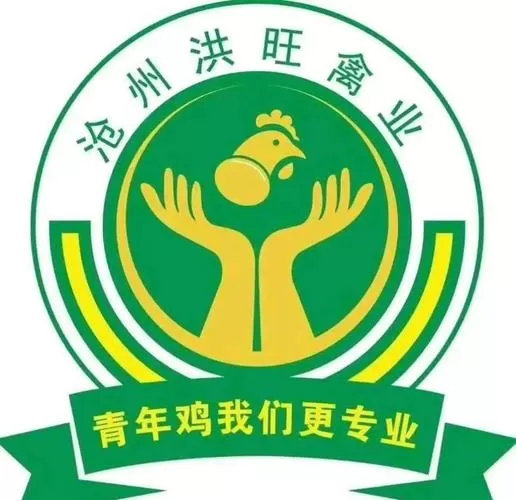 养蛋鸡能赚钱吗游戏截图