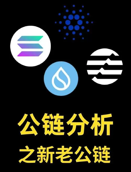 公链开发