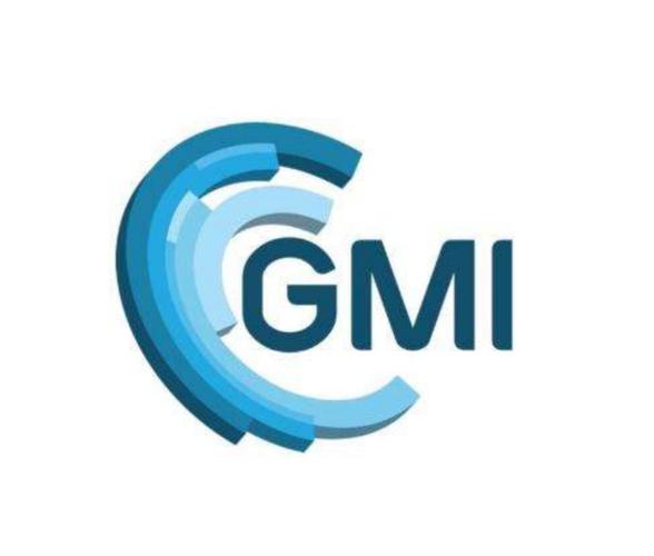 gg防闪框架缩略图