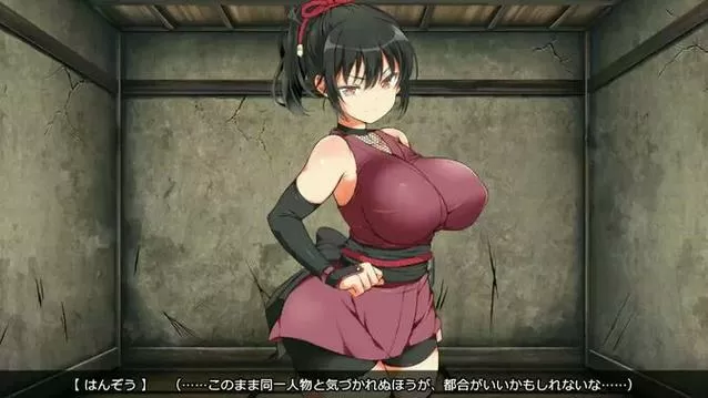 忍堕女忍汉化版最新版本下载缩略图