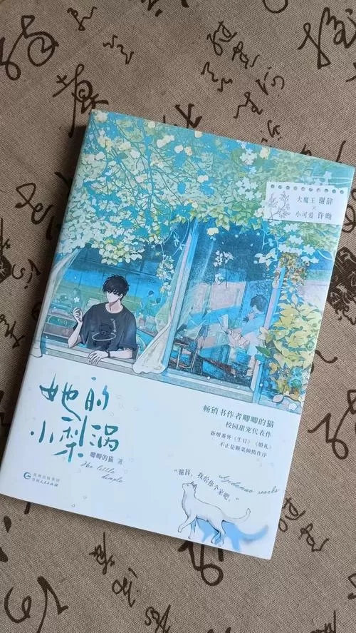 她的小梨涡讲的什么缩略图