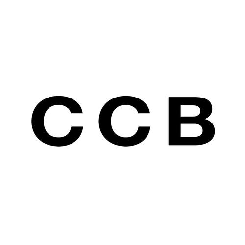 vip.ccb缩略图