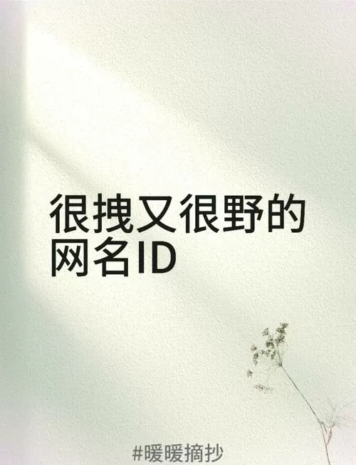 野王专用id