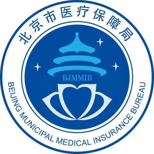 北京市医保服务平台缩略图