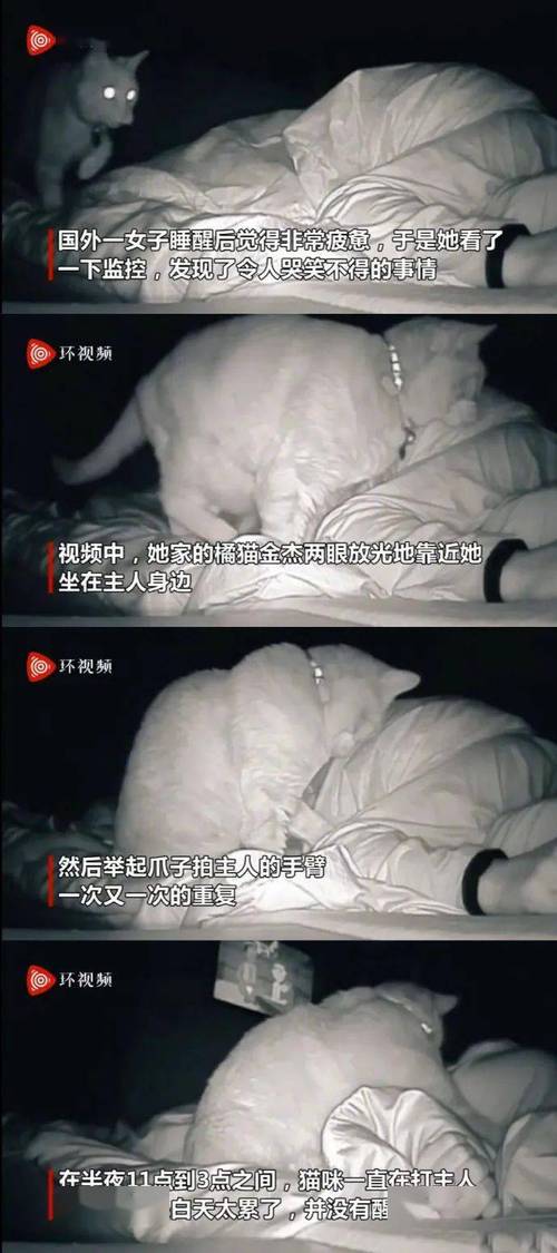 美女小鸡鸡的软件。缩略图