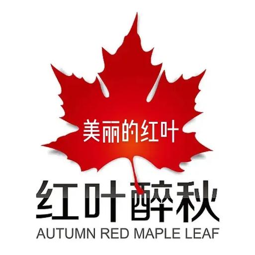 红叶小说游戏截图