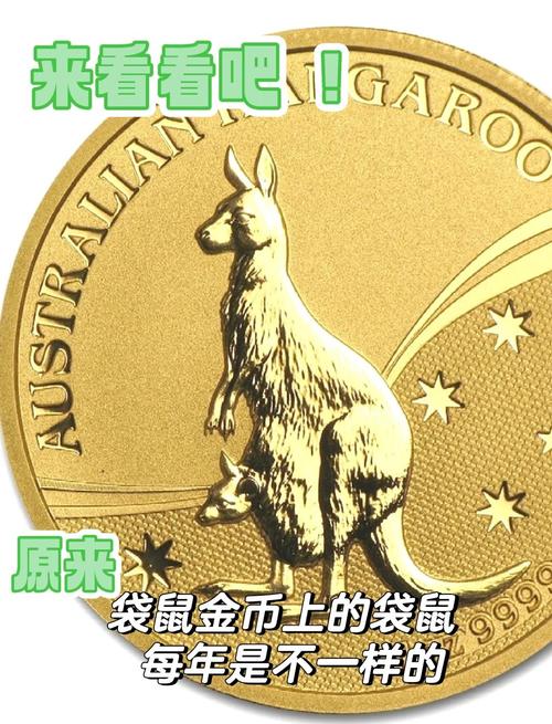 老鼠金币最新版本更新内容视频教程游戏截图