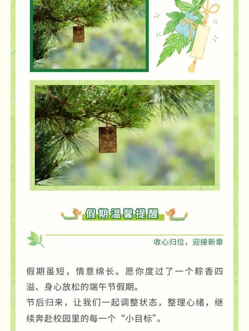 红包短视频赚钱版不用提现的红安装免广告提米版游戏截图