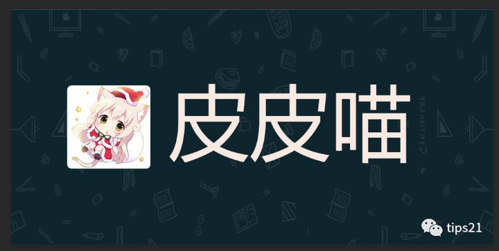 皮皮喵Lite官方版专业版