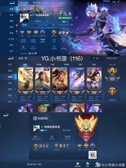 王者精英5v5正版解锁全部书源