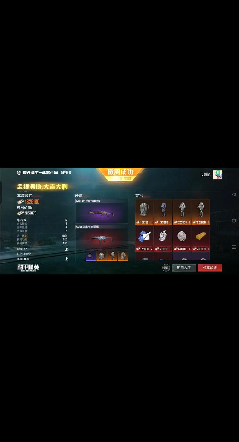 和平精英直装冰块黑色老版缩略图