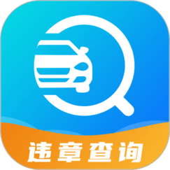 122违章查询游戏截图