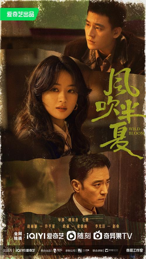 风吹半夏电视剧剧情介绍电视猫去限制版游戏截图