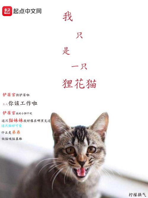 花猫小说最新版免广告版游戏截图