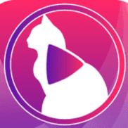 猫咪直播app游戏截图