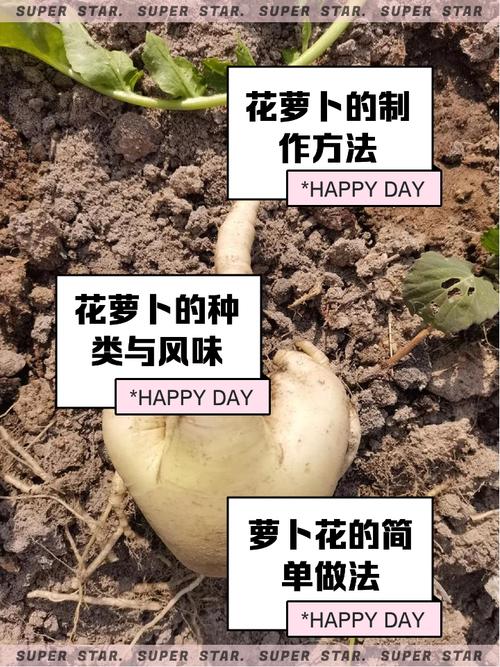 花萝卜