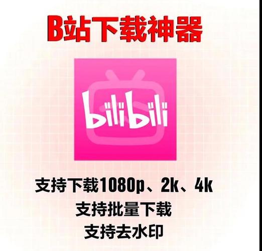 B站器安卓视频永久