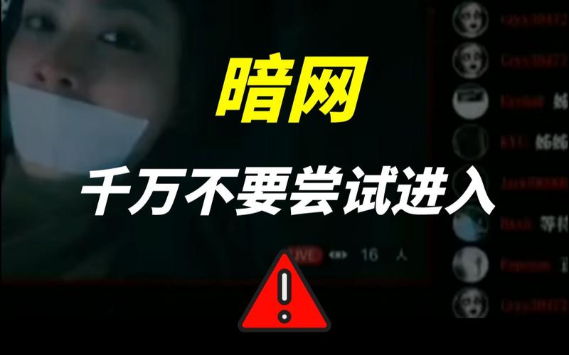 91暗网免费观看无限刷邀请版游戏截图