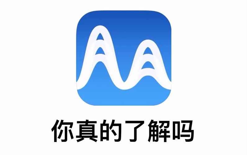 medly官方正版总代理