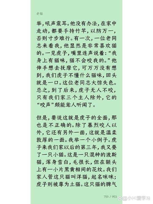 老猫小说免费阅读网绿版给力版