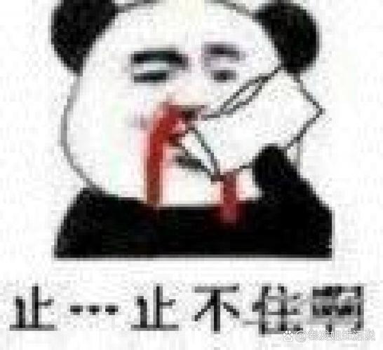 图搜搜旧版本流鼻血版本