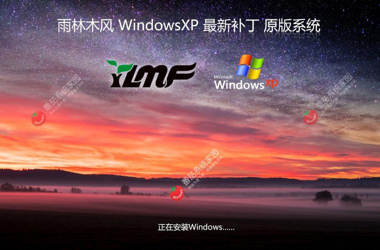 雨林木风WIN7旗舰版透视辅助游戏截图