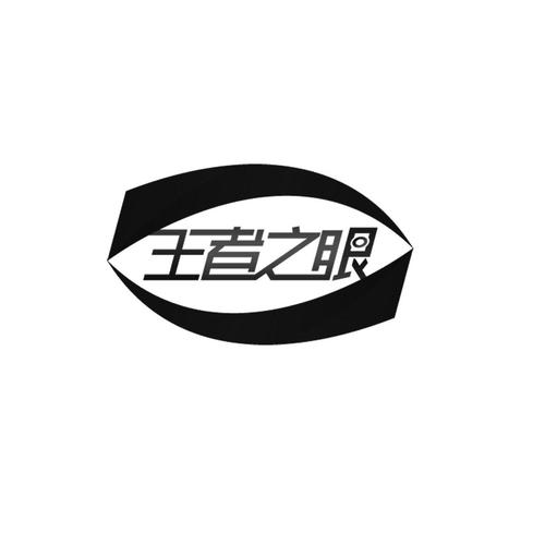 王者之眼辅助游戏截图