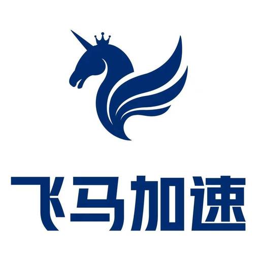 飞马NPV加速器缩略图