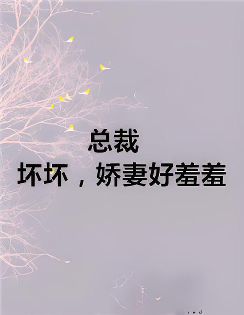 羞涩小说免费版游戏截图