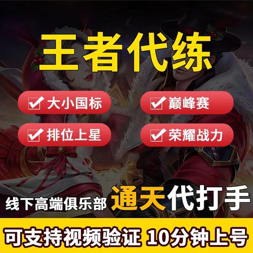 王者荣耀代练无限时间版游戏截图